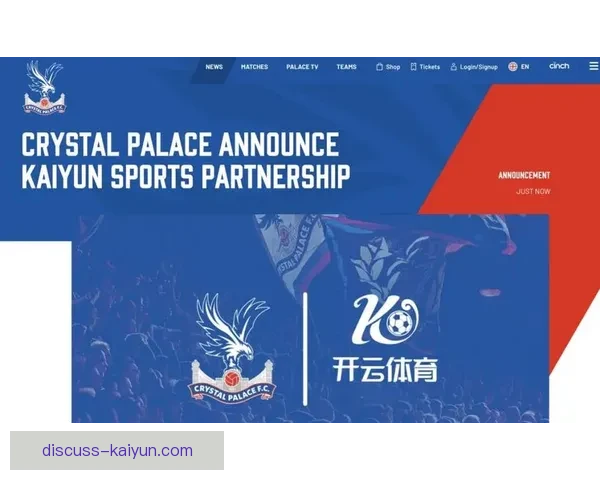 开云体育app深度解析全面评测：功能特色与用户体验的全面提升